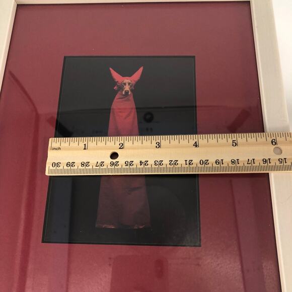 William Wegman Weimeraner Art Print "Devil Dog" Professionally Framed 11x9" - Picture 10 of 11